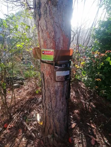 Pièges pour la lutte contre les chenilles processionnaires, Carros, JR3D