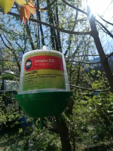 Pièges contre frelons asiatiques, frelons, guêpes, Carros, JR3D