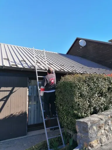Poudrage d'une charpente attaqué par des fourmies rouges à Ilonse, Carros, JR3D