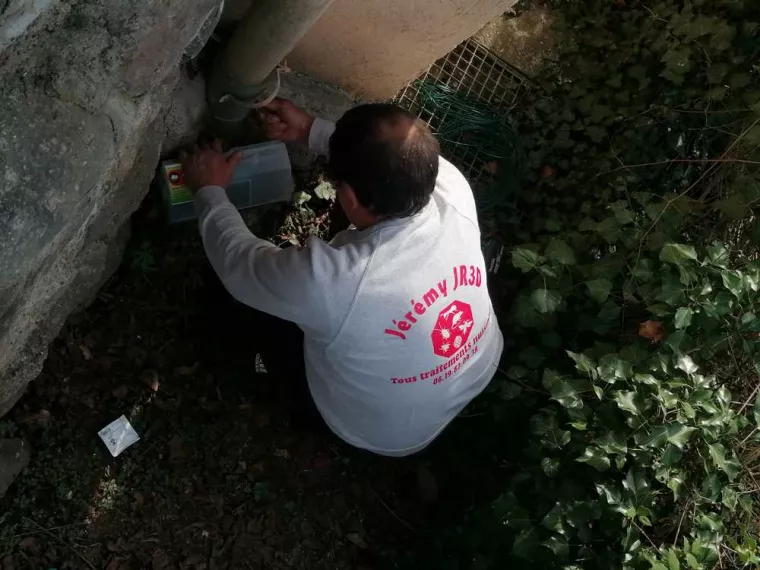À qui faire appel pour éliminer des rongeurs dans un jardin ?, Carros, JR3D