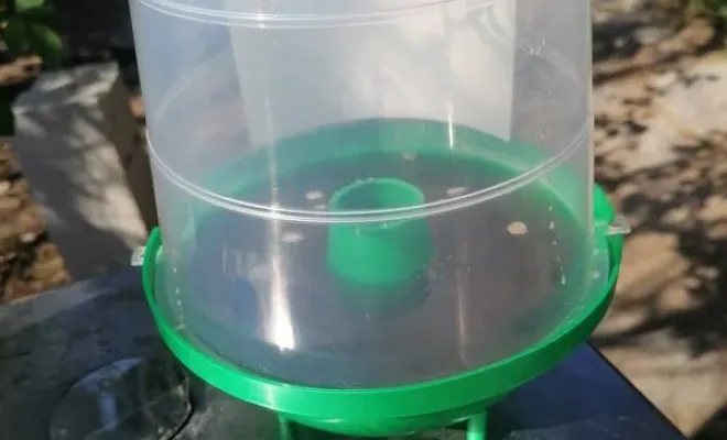 Pièges contre frelons asiatiques, frelons, guêpes, Carros, JR3D, peux être posé sur tous supports