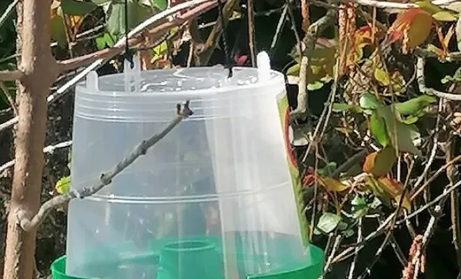 Pièges contre frelons asiatiques, frelons, guêpes, Carros, JR3D, possibilité de le pendre n'importe ou.