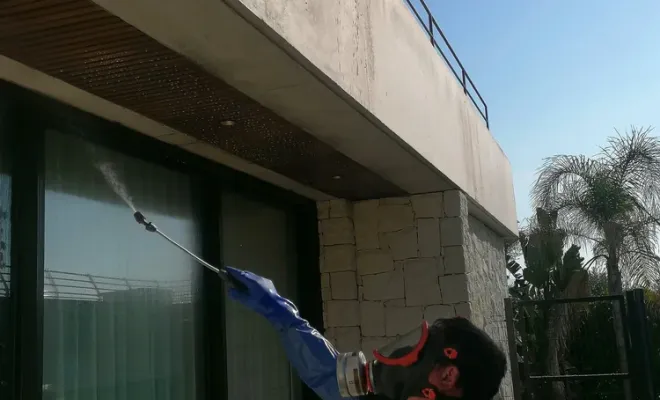 Attaque abeilles charpentières à Nice, Carros, JR3D