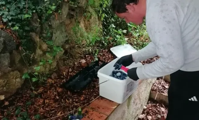 Dératisation et nid de guêpes à Roquebillière, Carros, JR3D