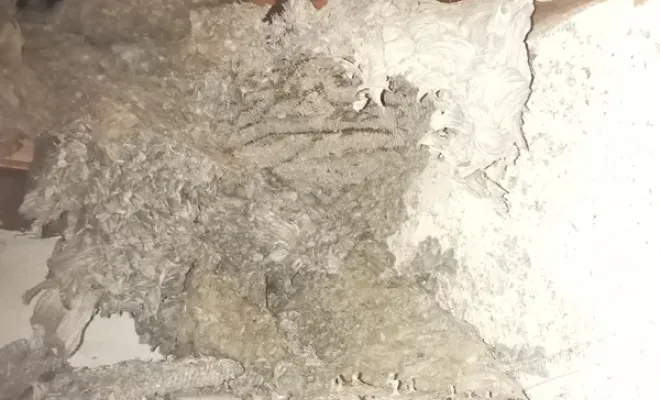 Dératisation et nid de guêpes à Roquebillière, Carros, JR3D