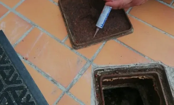 Blattes orientales à Carros traitement avec appâts insecticides dans les égouts, Carros, JR3D