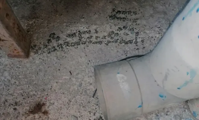 Désinsectisation par attractif insecticide à Gattières dans une exploitation agricole, Carros, JR3D