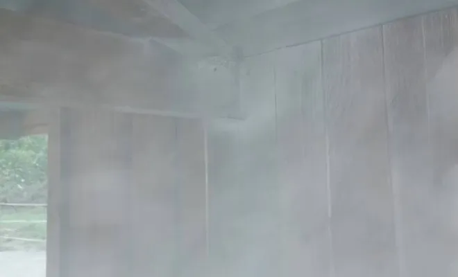 Poudrage du nid  de guêpes 